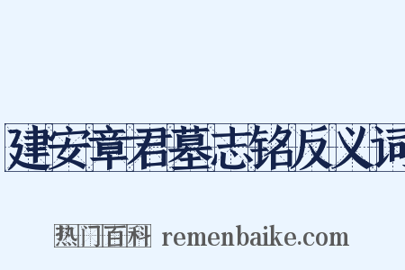 建安章君墓志铭反义词是什么意思的图片
